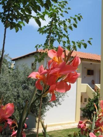 Hotel Heleni Apartments Epidaurus Zewnętrze zdjęcie